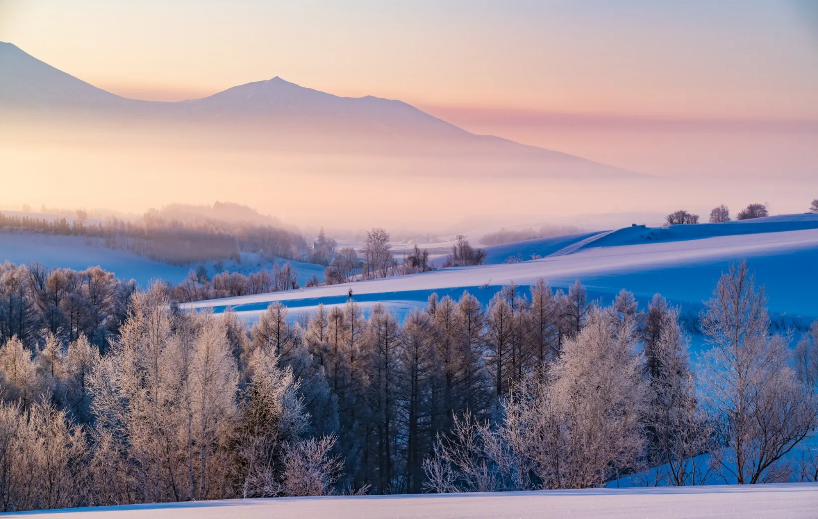 高性能住宅イメージ(仮)
