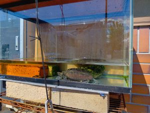 暑くなってきました☀｜岩手南店