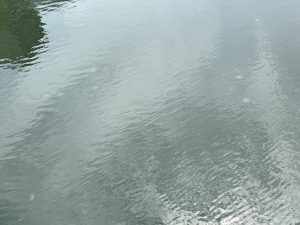 夏のような横浜