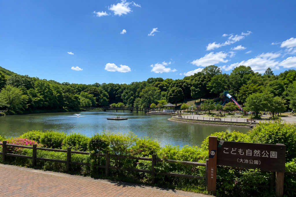 横浜の自然を楽しむ休日｜こども自然公園へ