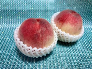 季節の桃🍑